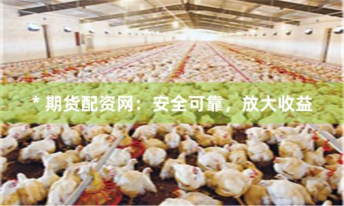 * 期货配资网：安全可靠，放大收益